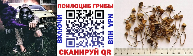 Галлюциногенные грибы ЛСД  Семилуки 
