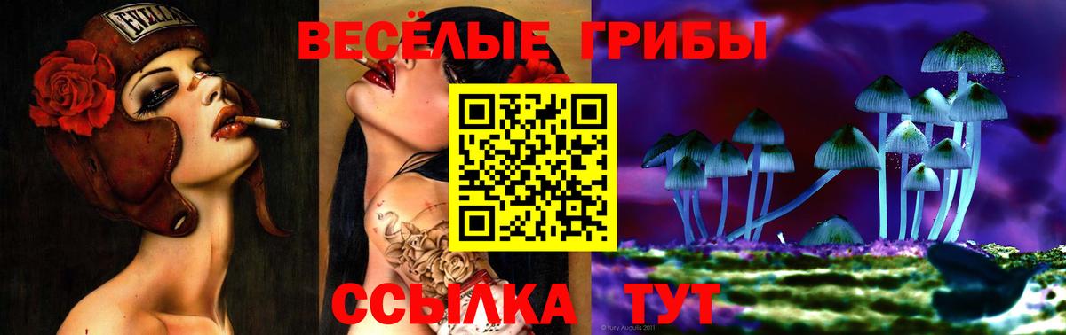 наркота  Вход с VPN  Семилуки  Галлюциногенные грибы Magic Shrooms 